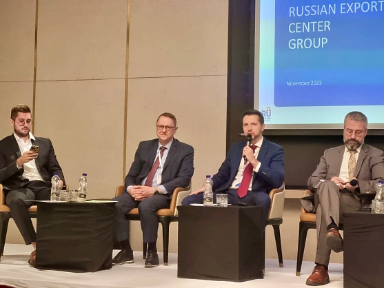 РЭЦ выделил ключевые направления российского экспорта в Африку