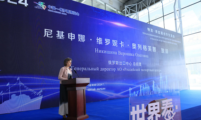 В 2024 году продолжится расширение логистических сервисов для экспортеров – РЭЦ